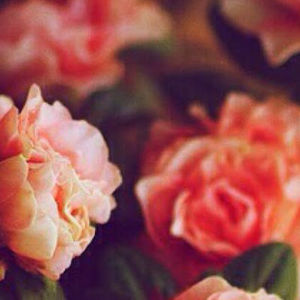 Meet your Posher, Alan